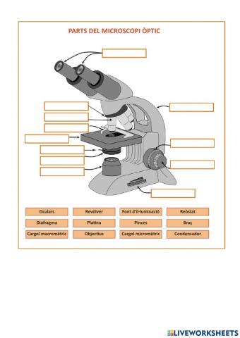 Parts del microscopi òptic