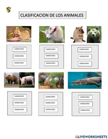 Clasificacion de los animales