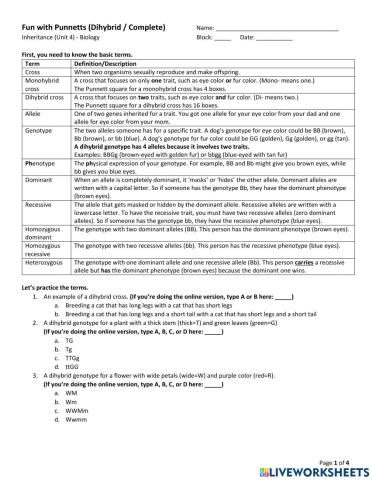 Unit 4 - Fun with Punnetts (Dihybrid - Complete)