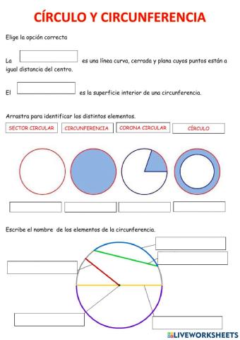 Círculo y circunferencia