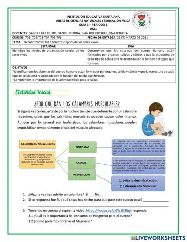 Guia 3 Biologia Septimo