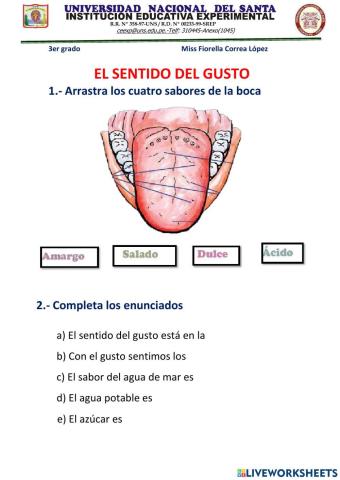 El sentido del gusto