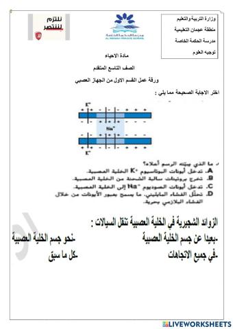 ورقة عمل تفاعلية