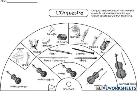 Classifcació instruments