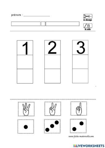 Numeri e quantità