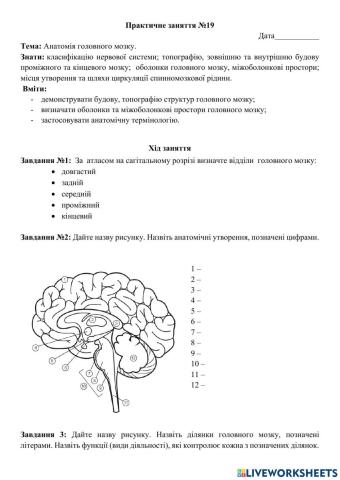 Практичне заняття №19