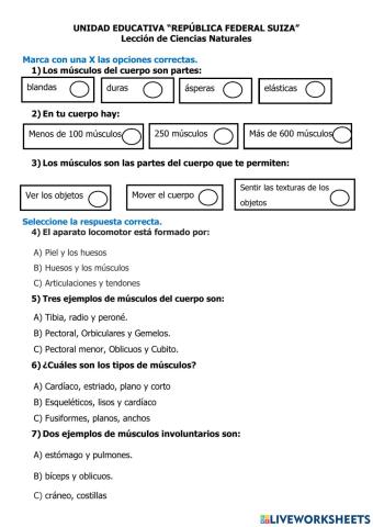 Sistema locomotor