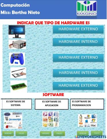 Hardware y Software