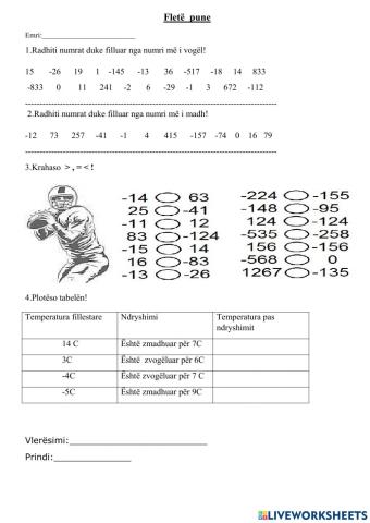 Fletë pune - Numrat pozitivë dhe negativë