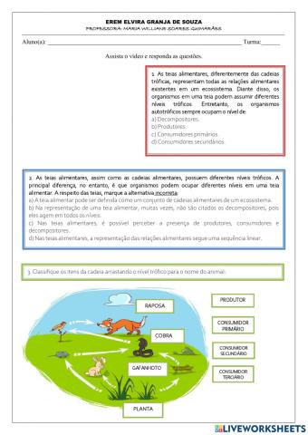 Relações alimentares no ecossitema