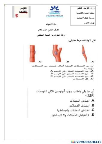 ورقة عمل تفاعلية