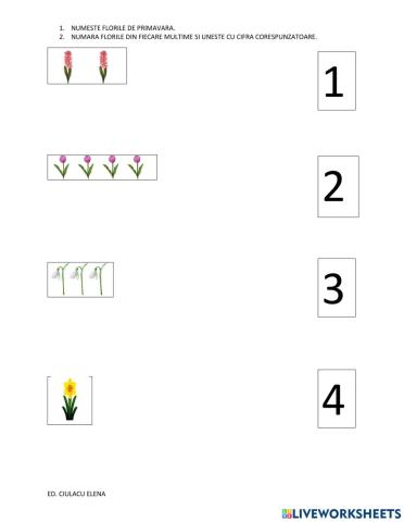 Fisa matematica