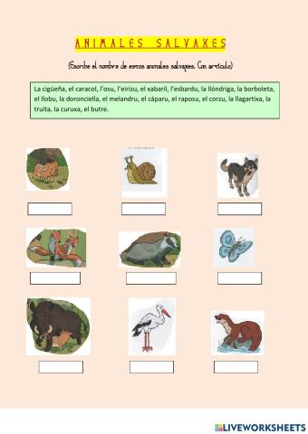 Llionés.ANIMALES SALVAXES 5º de primaria