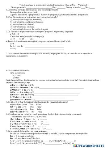 Test INSTRUCTIUNI cl 9, v1