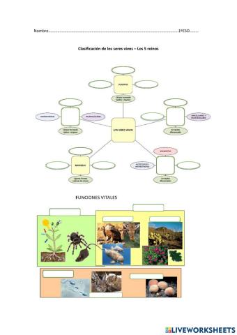 Examen 1ºE LiveWorksheets Seres Vivos