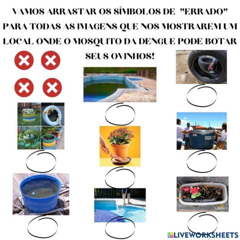 Focos do mosquito da Dengue