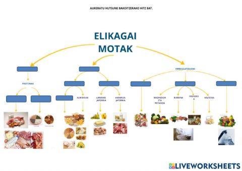 Elikagai motak