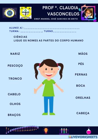 O corpo humano