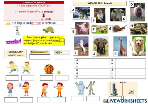 Comparatives (superiority - short adjectives)