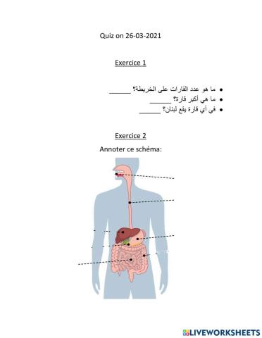 Appareil digestive et geographie