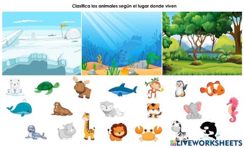 Clasificación de animales