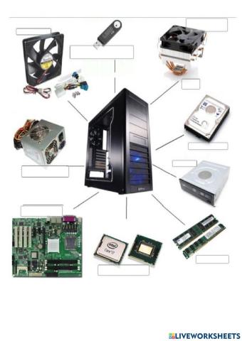 Partes internas de la cpu