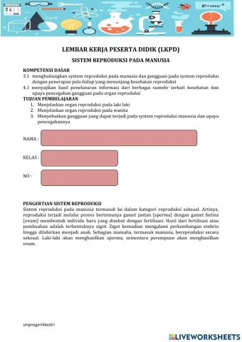 Sistem reproduksi pada manusia