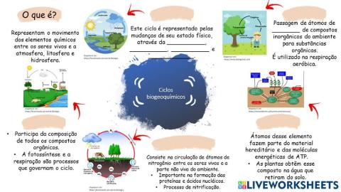 Ciclos Biogeoquímicos