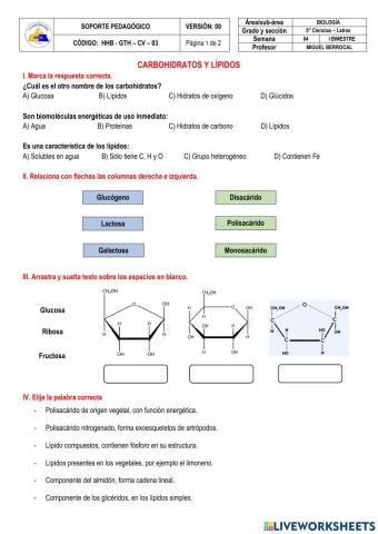 Carbohidratos y lípidos