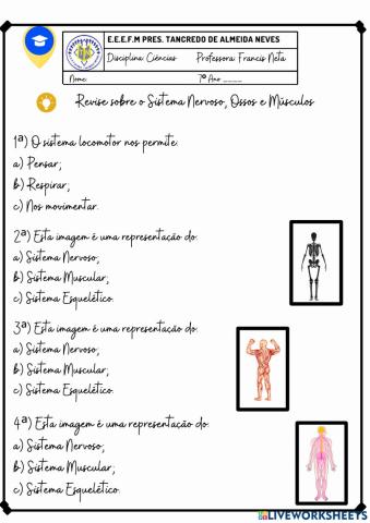 Sistemas do corpo humano - 7º ANO