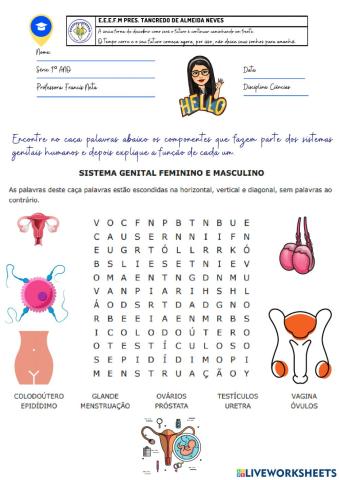 Sistema genital feminino e masculino - 9º ANO