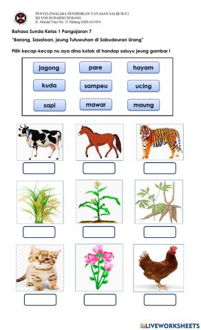 Latihan Bahasa Sunda-Sasatoan jeung Tutuwuhan