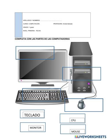 Partes de la computadora