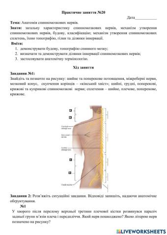 Практичне заняття №20