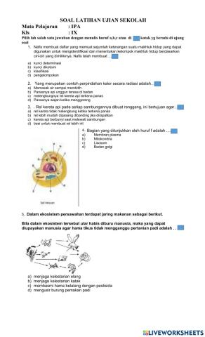 Soal Latihan Ujian Sekolah