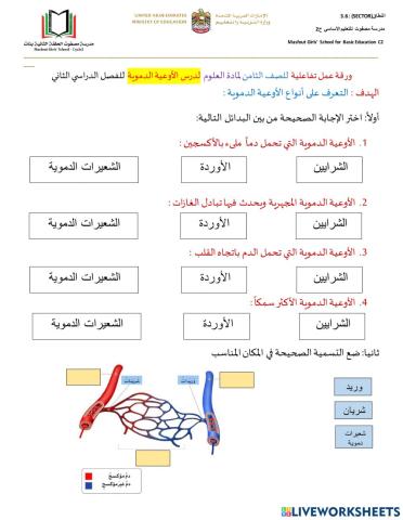 الأوعية الدموية