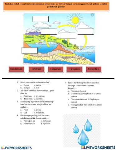 Tematik kelas 5