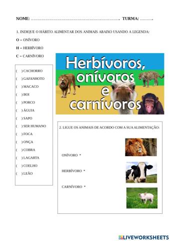 Carnívoros. onívoros  ou herbívoros?