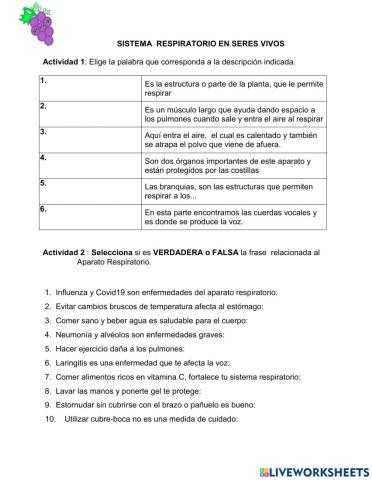 Respiración en seres vivos