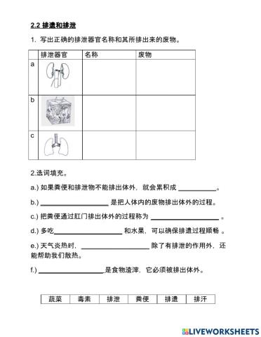 科学 四年级 单元二 2.2 2.3