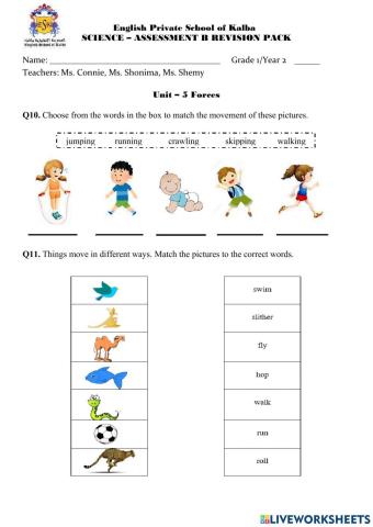 Revision Unit 5 Forces