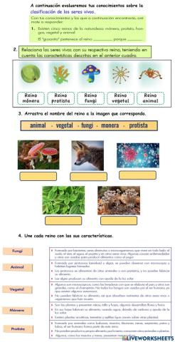 Clasificación de los seres vivos