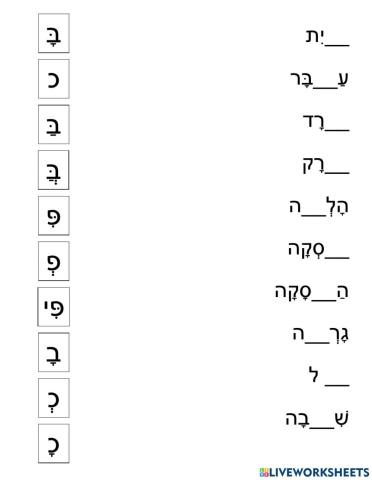 דגושות רפות