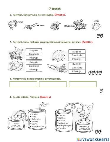 Pasaulio pažinimo testas Nr. 7