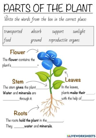 Parts of the plant