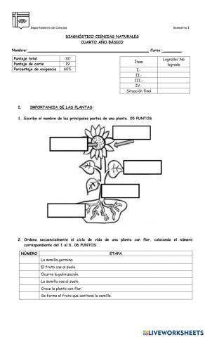 Diagnóstico 4° básico 2021