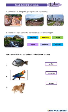 EXAMEN CONOCIMIENTO DEL MEDIO