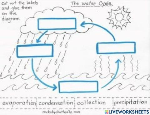 Water cycle