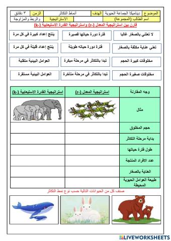 ورقة عمل انماط التكاثر