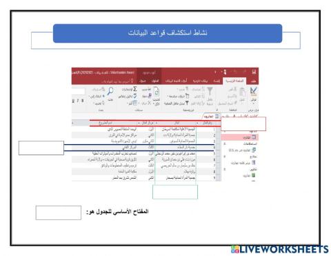 استكشاف قواعد البيانات